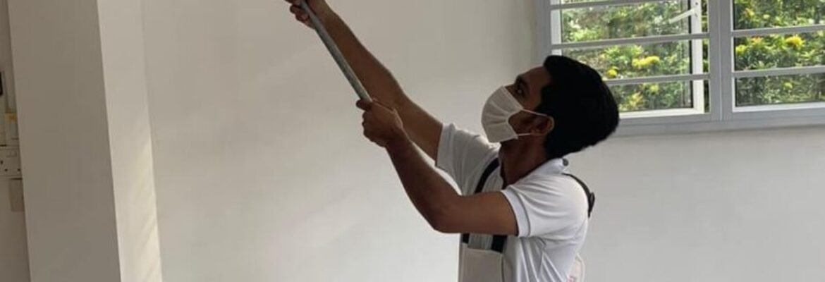 Meptech Painting Services